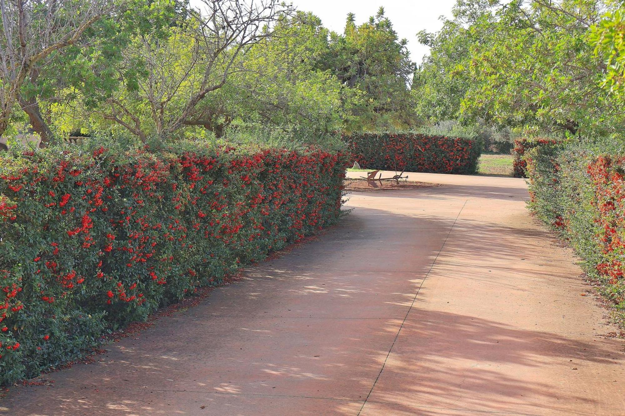 151 Villa Es Triquet Et3366 By Mallorca Charme Binissalem Esterno foto