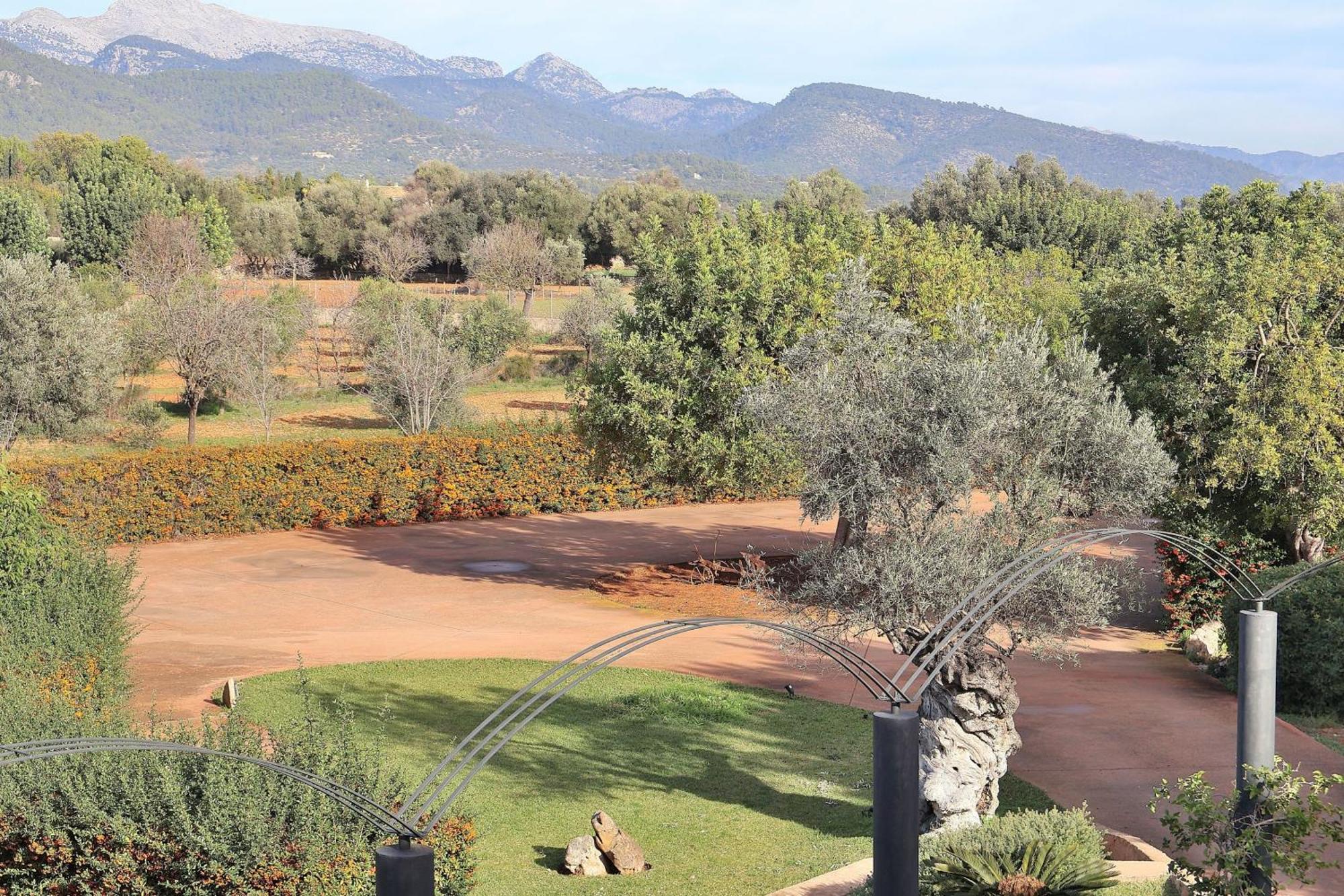151 Villa Es Triquet Et3366 By Mallorca Charme Binissalem Esterno foto