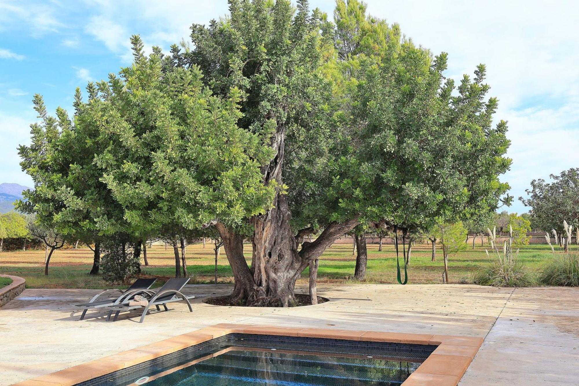 151 Villa Es Triquet Et3366 By Mallorca Charme Binissalem Esterno foto